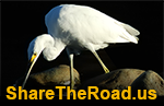 Formerly ShareTheRoad Productions